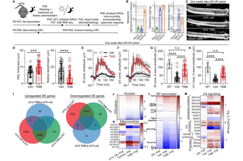 Combination treatment based on drug repurposing shows promise in the treatment of retinal degenerations