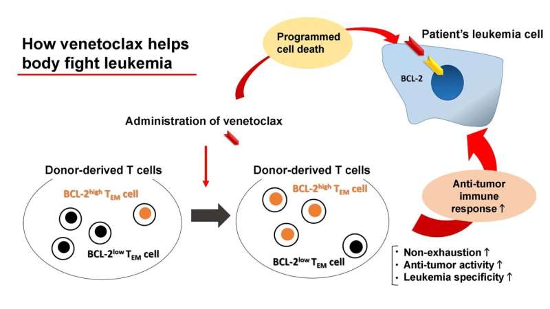 Novel drug application shows improved survival for patients with relapsed and refractory acute myeloid leukemia