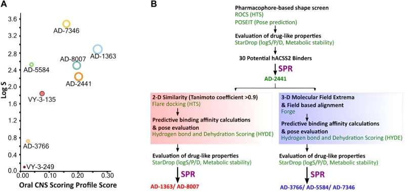 Drug-like molecules show early success in targeting breast cancer brain metastases