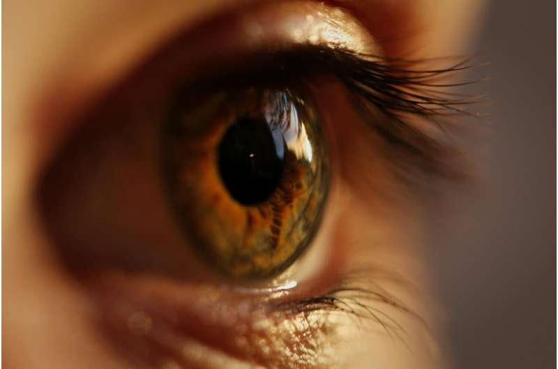 Taking a closer look at eye cancer: Research offers new insight into high rate of metastasis