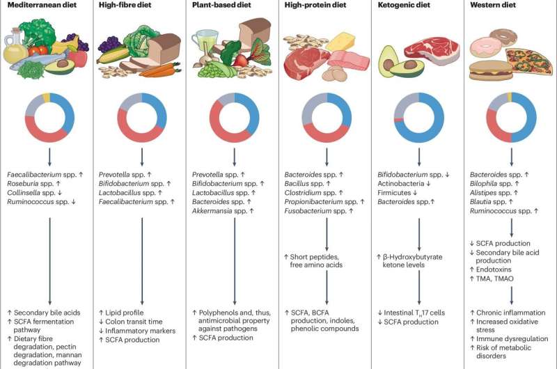 Western diets pose greater risk of cancer and IBD, APC study finds