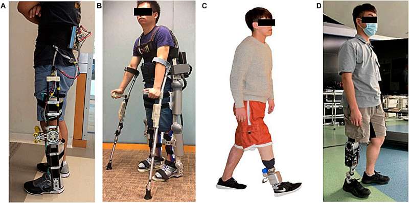 Interlimb and intralimb synergy modeling for lower limb assistive devices: Modeling methods and feature selection