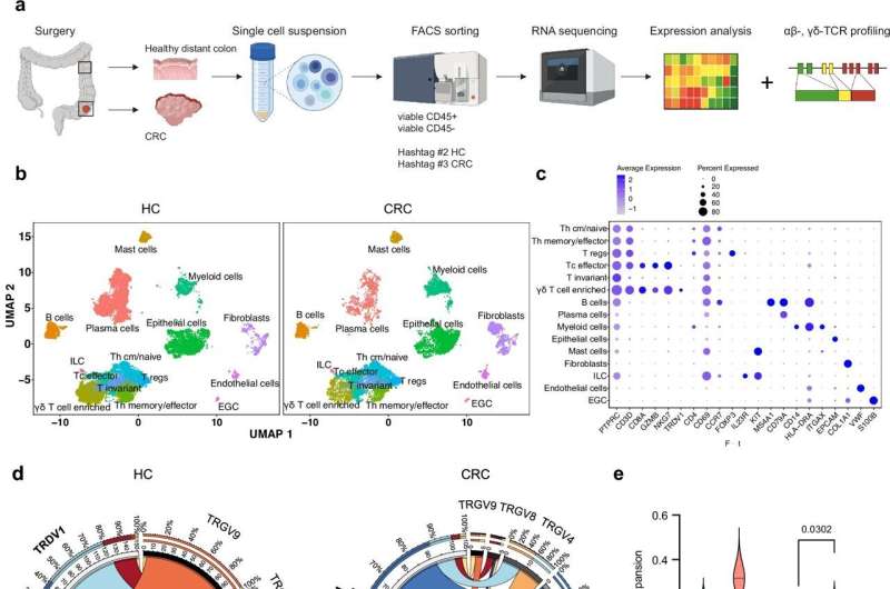 Colorectal cancer: New approach for better efficacy of immunotherapies