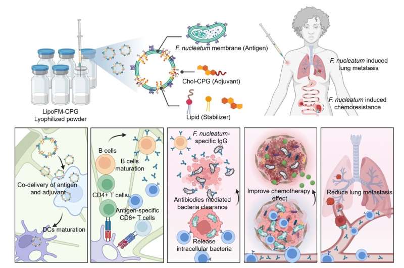 Innovations in cancer treatment through targeted bacterial vaccines