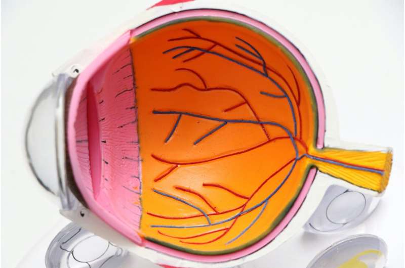 Scientists search for new treatment target for diabetic retinopathy