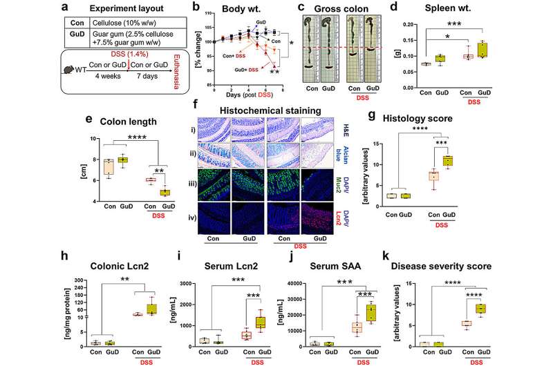 Refined dietary fiber may increase risk for inflammatory bowel disease