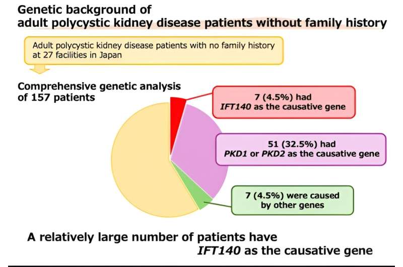 Genetic analysis sheds light on the role of IFT140 in polycystic kidney disease