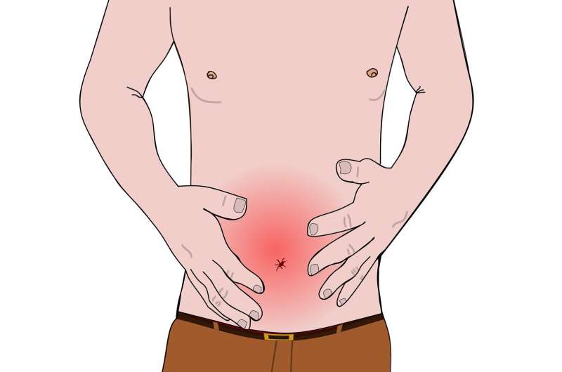 Updated guidelines published for evaluating and managing chronic constipation