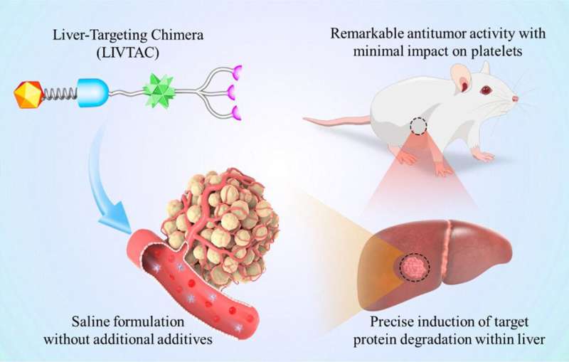 Novel strategy to develop liver-targeting chimeras for disease treatment