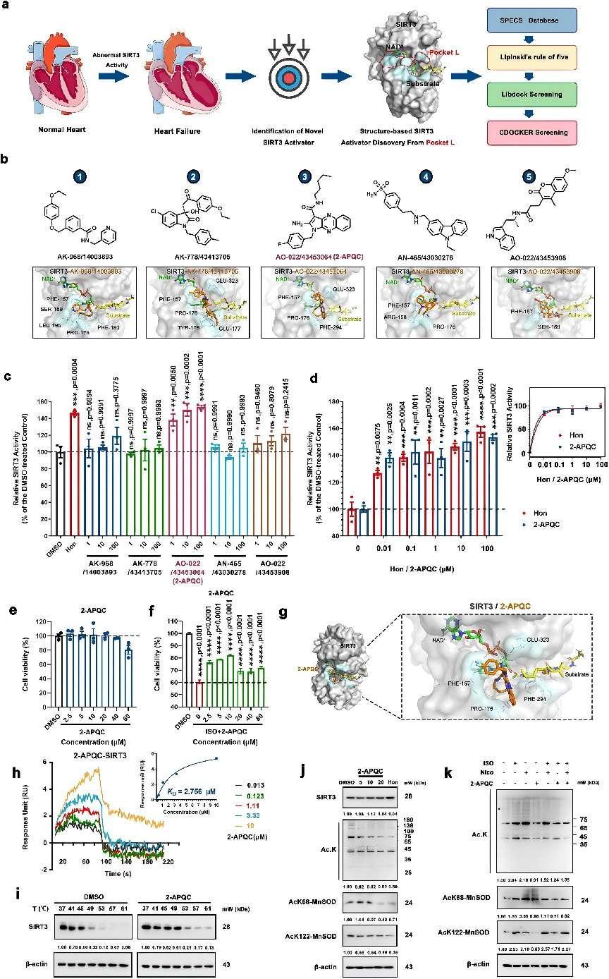 A novel targeted SIRT3 activator for treating heart failure via mitochondrial homeostasis regulation 