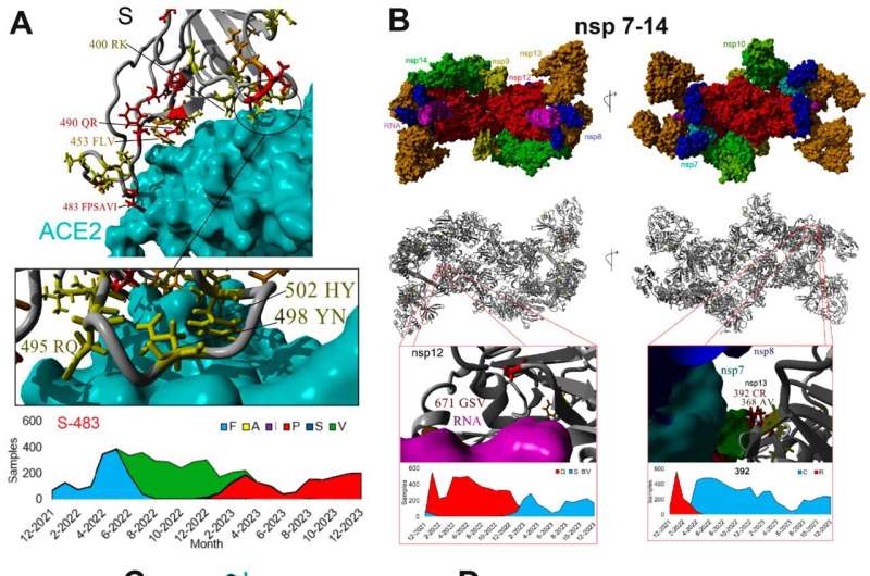 While vaccines target the changing parts of coronavirus, we must also pay attention to the unchanging parts