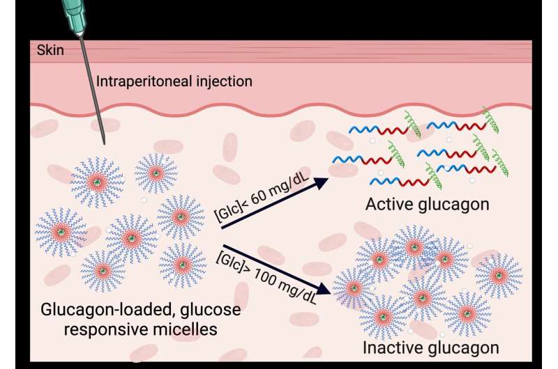 A new injectable to prevent and treat hypoglycemia