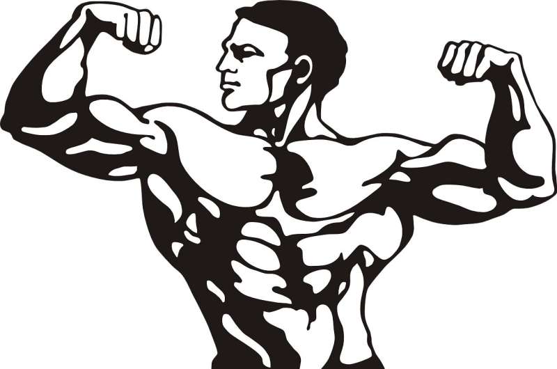 bodybuilder silhouette