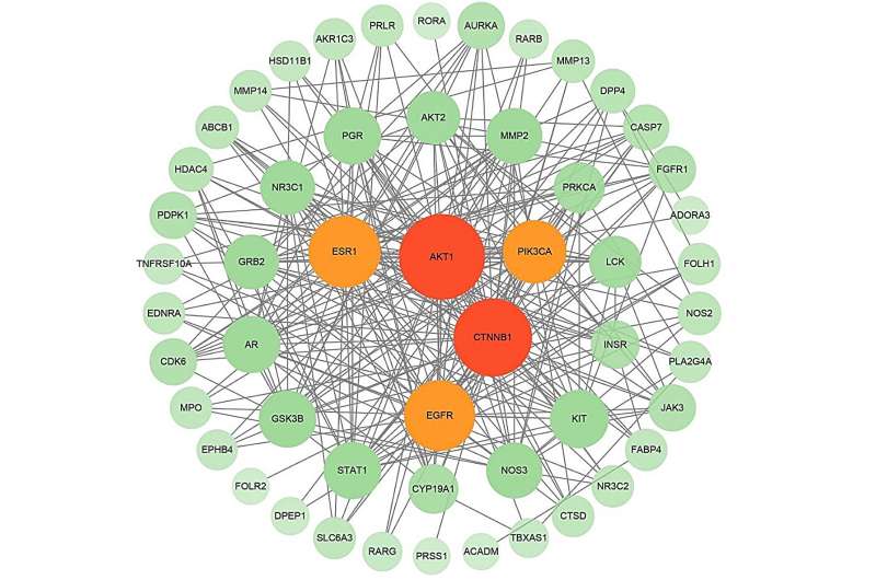 New study identifies ganoderic acid DM as potential treatment for breast cancer