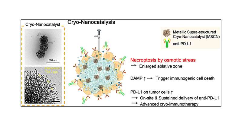 Improving next-generation cancer treatments with cryoimmunotherapy