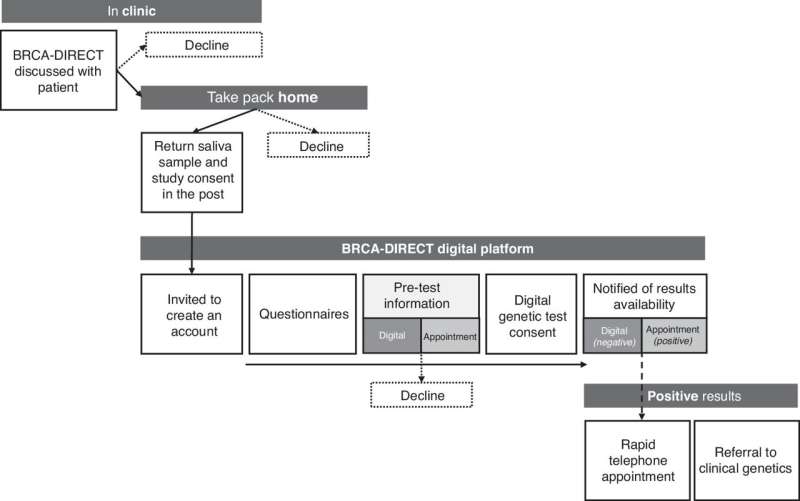 New genetic testing pathways could ensure patients get personalised BRCA-linked cancer treatments