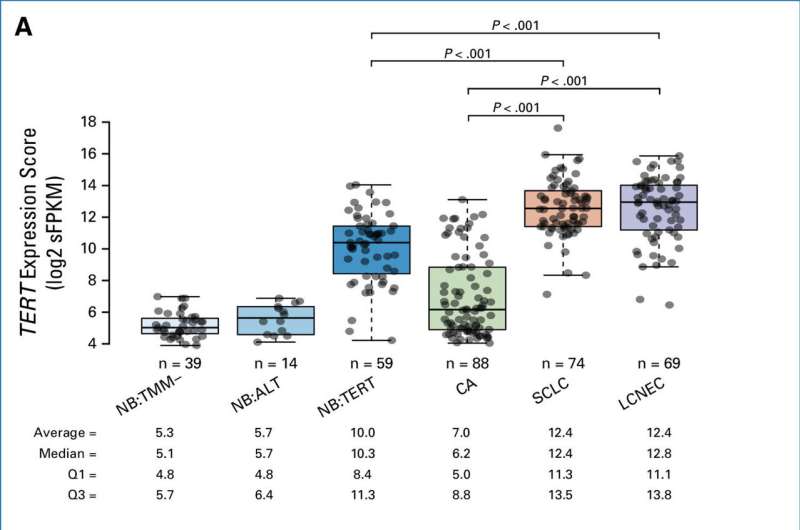 Rare lung cancer: Gene activation determines mild or aggressive course