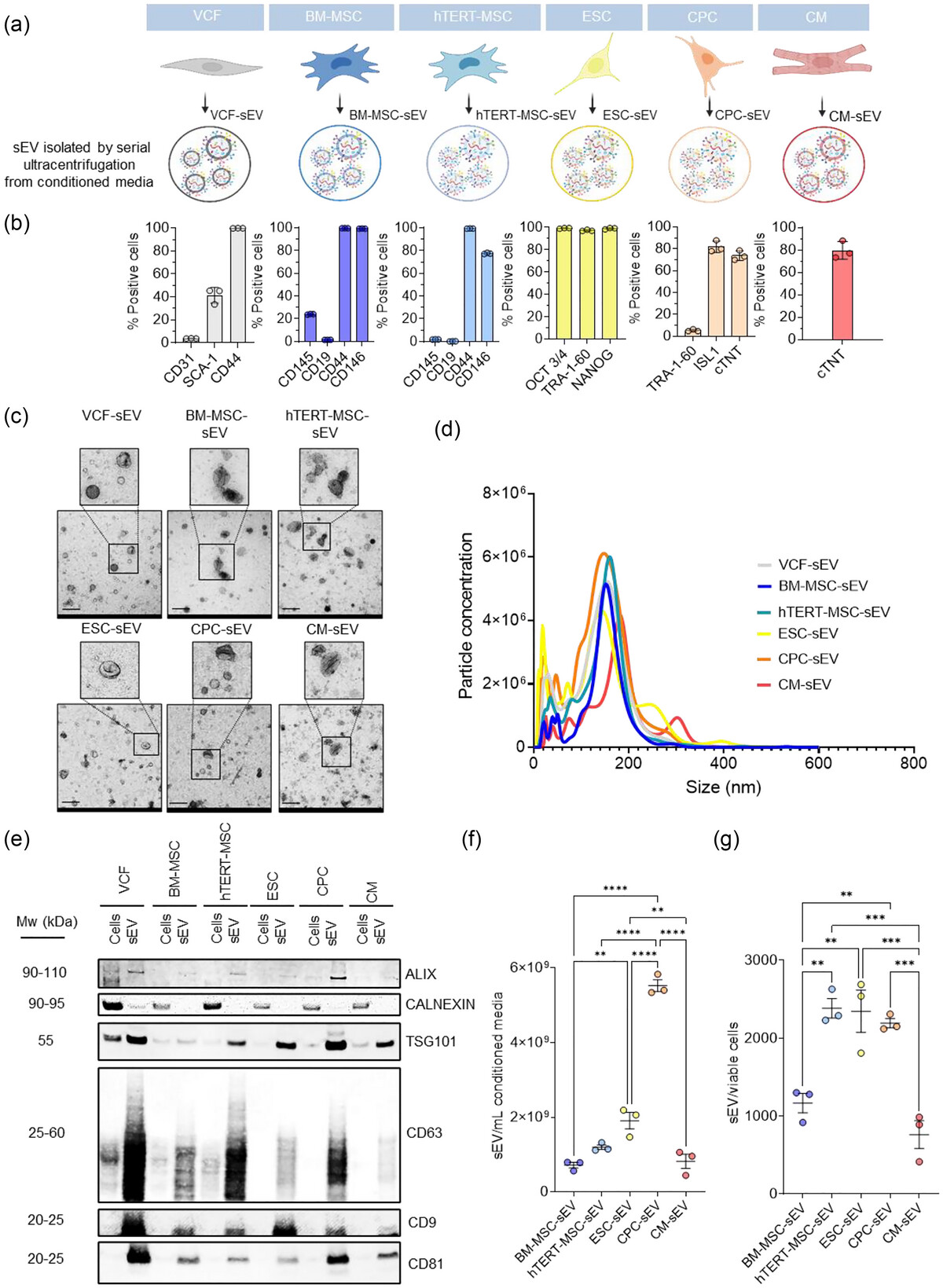 Comparative Analysis of Small Extracellular Vesicles from Various Cell Sources for Cardiac Repair Post-Myocardial Infarction: Superiority of Embryonic Stem Cells 