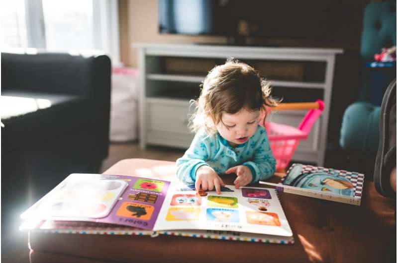 Clinicians help train pediatricians to screen toddlers for mental health risk, with equity and ethics in mind