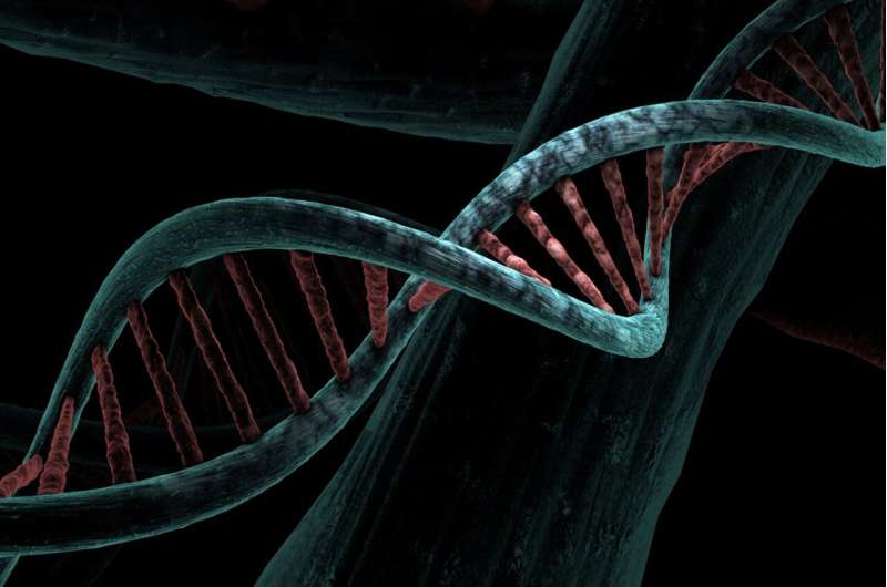 Researchers develop new tool to predict the impact of genetic variants