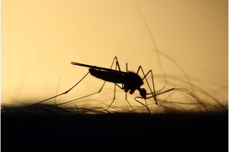 The mosquito-borne virus 'triple E' continues its spread, worrying state health officials