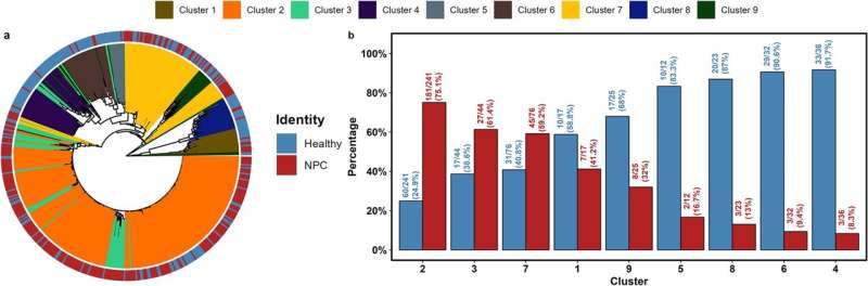 Meta-analysis links high-risk Epstein-Barr virus lineage to nasopharyngeal cancer in southern China