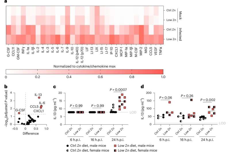 Zinc deficiency promotes Acinetobacter lung infection, mouse study shows