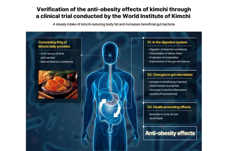 New Clinical Study Confirms the Anti-Obesity Effects of Kimchi