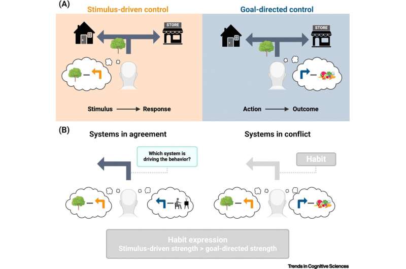 Cognitive neuroscientists discover new blueprint for making and breaking habits