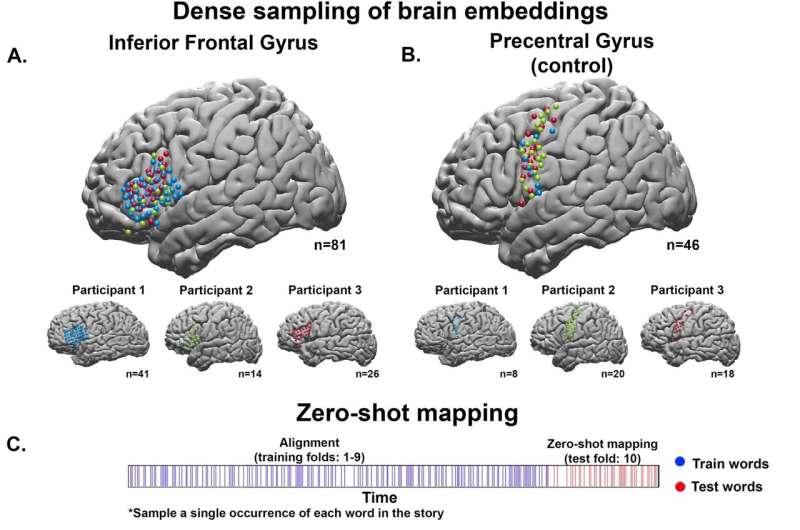 Our minds may process language like chatbots, study reveals