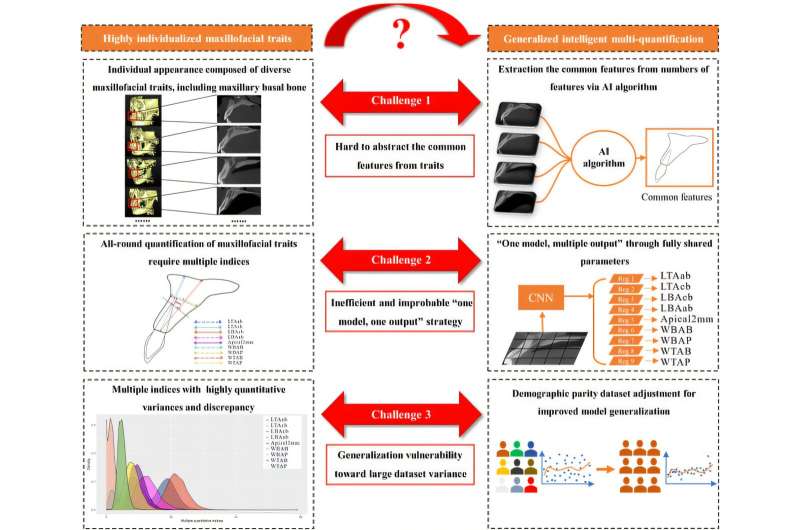 Multi-quantifying maxillofacial traits via a demographic parity-based AI model