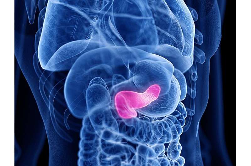 Why alarm is easing over a rise in pancreatic cancer among the young