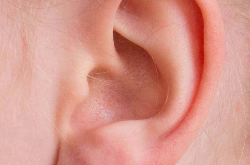 New study sheds light on language development in children with hearing loss