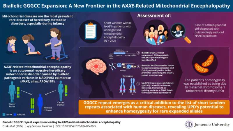 Mitochondrial encephalopathy caused by a new biallelic repeat expansion