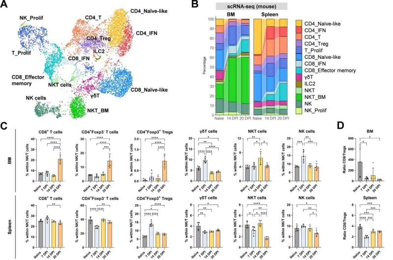 Scientists create an scRNA-seq atlas of the multiple myeloma immune microenvironment across disease stages