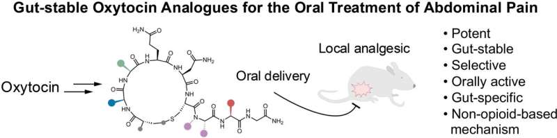 Experimental oxytocin-based drug offers new hope for gut disorders