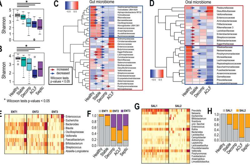 Microbiome changes in chronic liver disease highlight need for personalized treatment