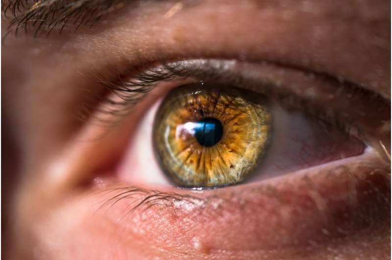 Study shows association between climate change and eye maladies