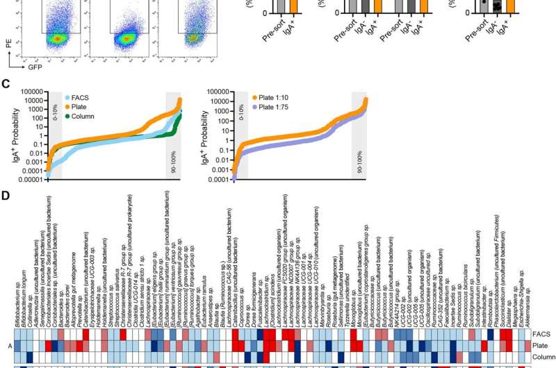 A new technology to isolate immunostimulatory members of the human gut microbiota: Next-generation igA-seq