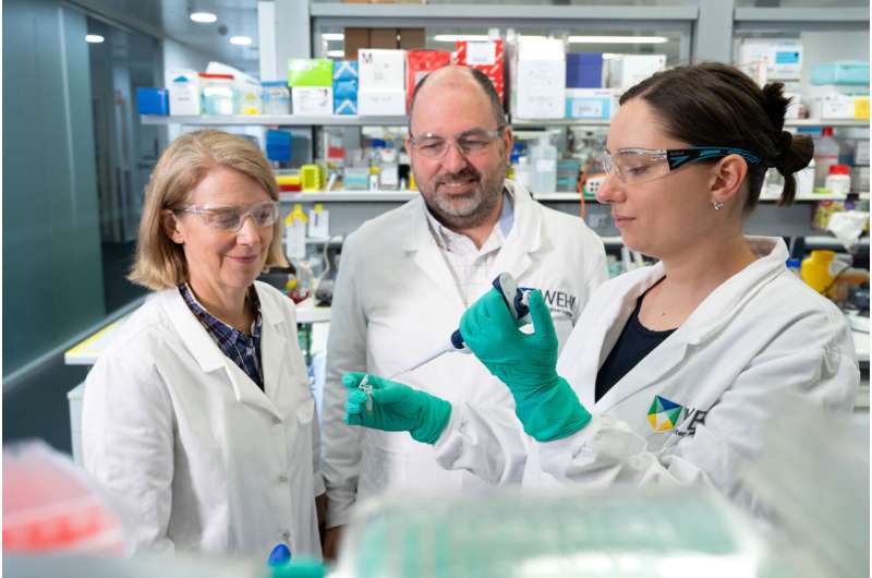 All in the blood: new way to detect drug resistance in ovarian cancer patients