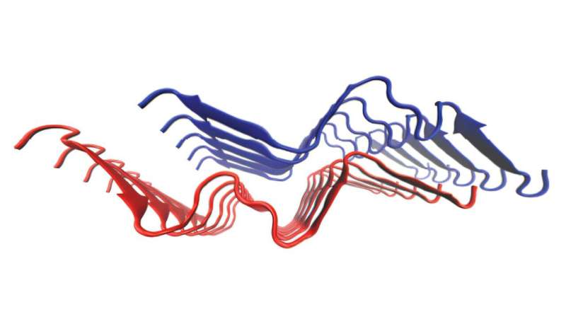 Structural analysis shows Alzheimer's disease mutation produces 'cottonwool' structures in the brain