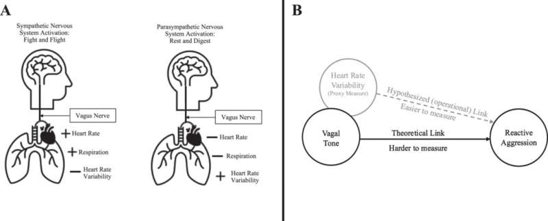 Heart rate variability not a reliable marker of aggression