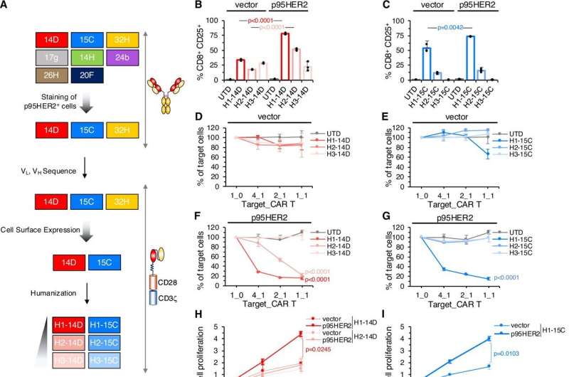 Novel CAR T-cell therapy demonstrates efficacy and safety in preclinical models of HER2-positive solid tumors