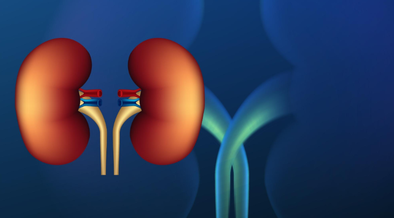 Effect of Delayed Remote Ischemic Preconditioning on Acute Kidney Injury and Outcomes in Patients Undergoing Cardiac Surgery: A Randomized Clinical Trial