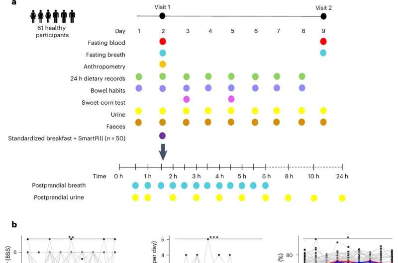 Impact of changes in gut environment on bacteria may help explain why we react differently to the same food