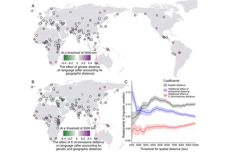 Exploring how our first language is echoed in our genes