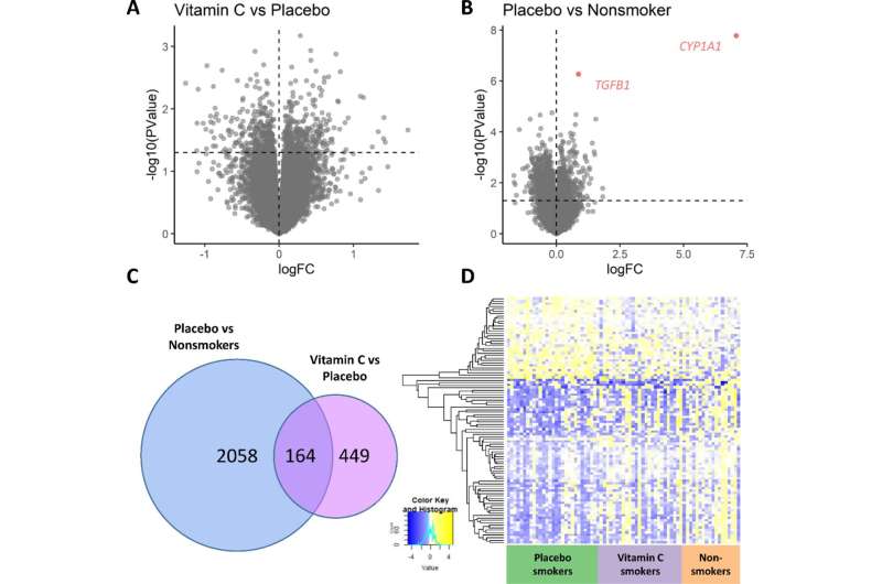 Doppler ultrasound reveals vitamin C can boost placental health in smokers