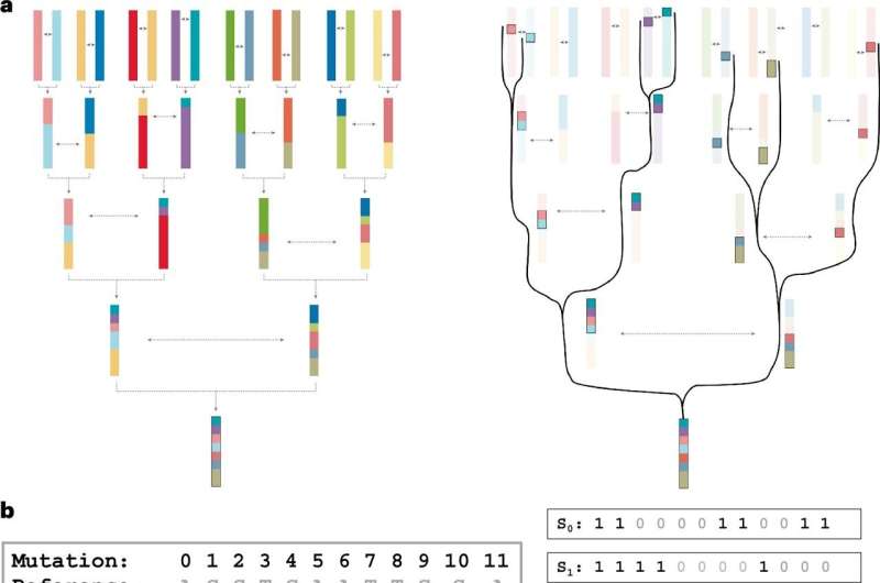 New method compresses terabytes of genomic data into gigabytes