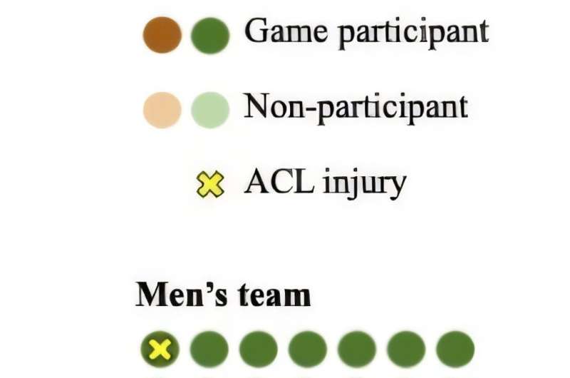 Gender inequities may distort estimates of anterior cruciate ligament injury rates among women, study suggests