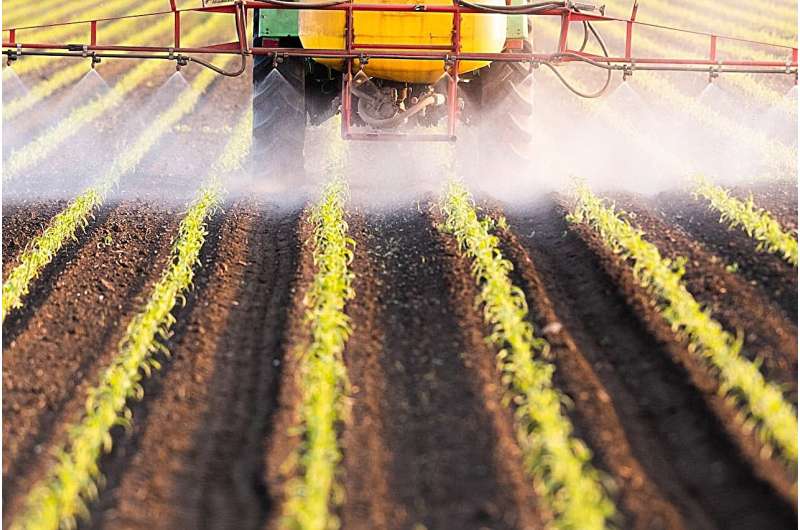 Specific pesticides linked to increased risk for rheumatoid arthritis